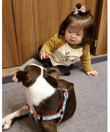 なかよし？？ | ラッピングキット