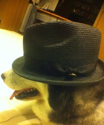 Havoc Ltd. | キャップ