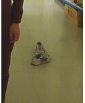 ASICS(アシックス)の「シューズ(バレエシューズ)」
