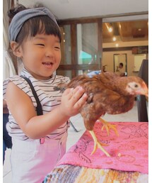 🐓抱っこ😂😂 | その他