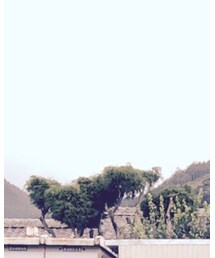 ナイショ | Tシャツ/カットソー