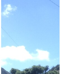 BALLISTICS | バックパック/リュック