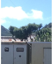 G-SHOCK | アナログ腕時計