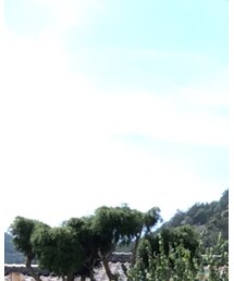 Ray-Ban | サングラス