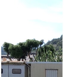 vendor Things | Tシャツ/カットソー