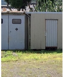 G-SHOCK | アナログ腕時計