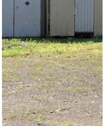 BALLISTICS | バックパック/リュック