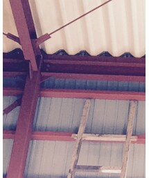 adidas | スニーカー