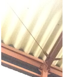 BOUNTY HUNTER | Tシャツ/カットソー