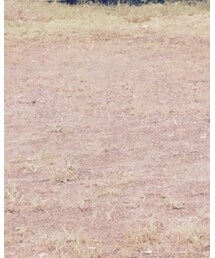 nonnative | デニムパンツ