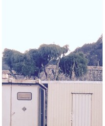 vendor Things | ハット