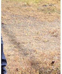 nonnative | デニムパンツ