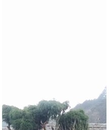 vendor Things | ハット