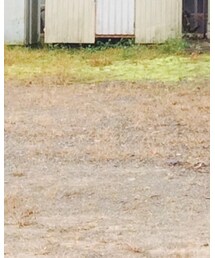 vendor Things | シャツ/ブラウス