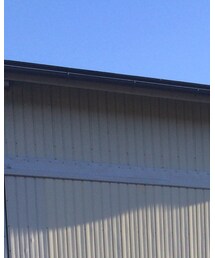 nonnative | テーラードジャケット