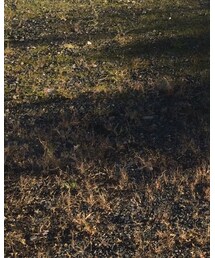 PEEL&LIFT | ネックレス