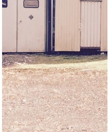 UNDERCOVER | Tシャツ/カットソー