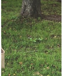 takeshikanda | ショルダーバッグ