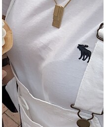 Abercrombie & Fitch | トップス