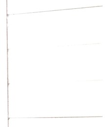 Birthday | トレンチコート