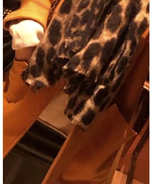 dandra | トップス