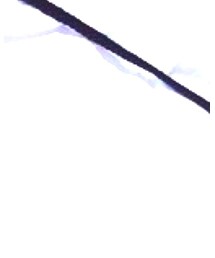 ZARA | Tシャツ/カットソー