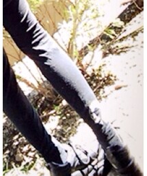 CHROME HEARTS | レギンス/スパッツ