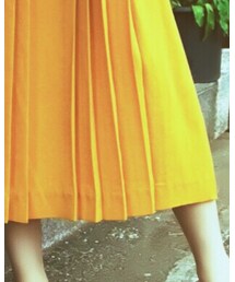 wacoal skirt | スカート