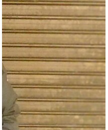 MONCLER | ダウンジャケット/コート