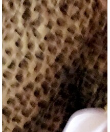 adidas | スタジャン