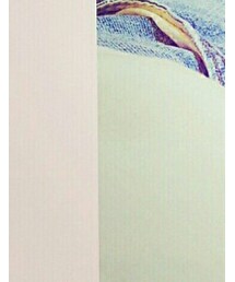 UNIQLO | デニムパンツ