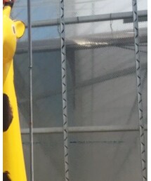 きりん | その他