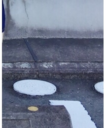 靴下屋 | ソックス/靴下