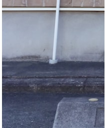 靴下屋 | ソックス/靴下