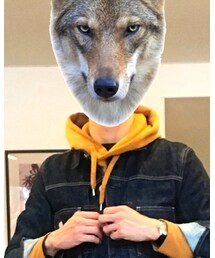 UNIQLO | パーカー