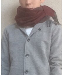 不明 | マフラー