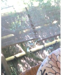 楽しかった | その他