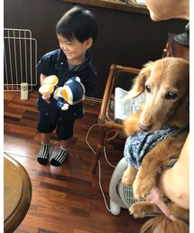 ばぁばのおうちのロボット。 | その他