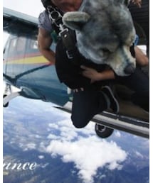 MAN WITH A MISSION | CD