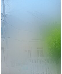 Zoff | サングラス