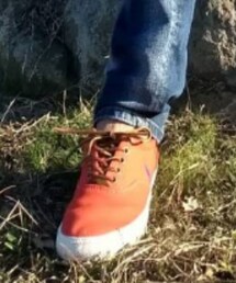 POLO RALPH LAUREN | スニーカー