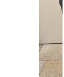 EDITION | セットアップ