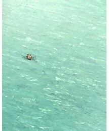 天然生活 | その他