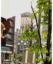 セブンイレブンの傘 | その他