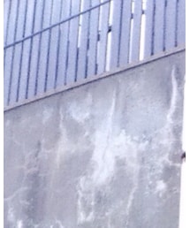 RETRO GIRL | ストール/ショール