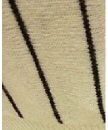 GLOBAL WORK | ニット/セーター