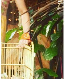 Juana de Arco | バングル/リストバンド