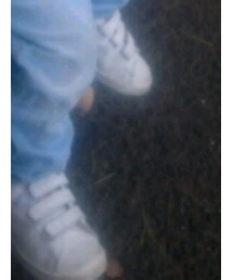 adidas | スニーカー