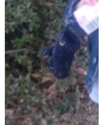 無印良品 | 手袋