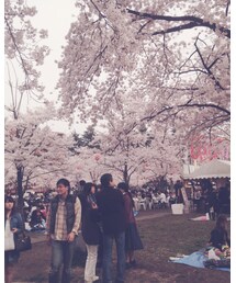 お花見🌸 | その他